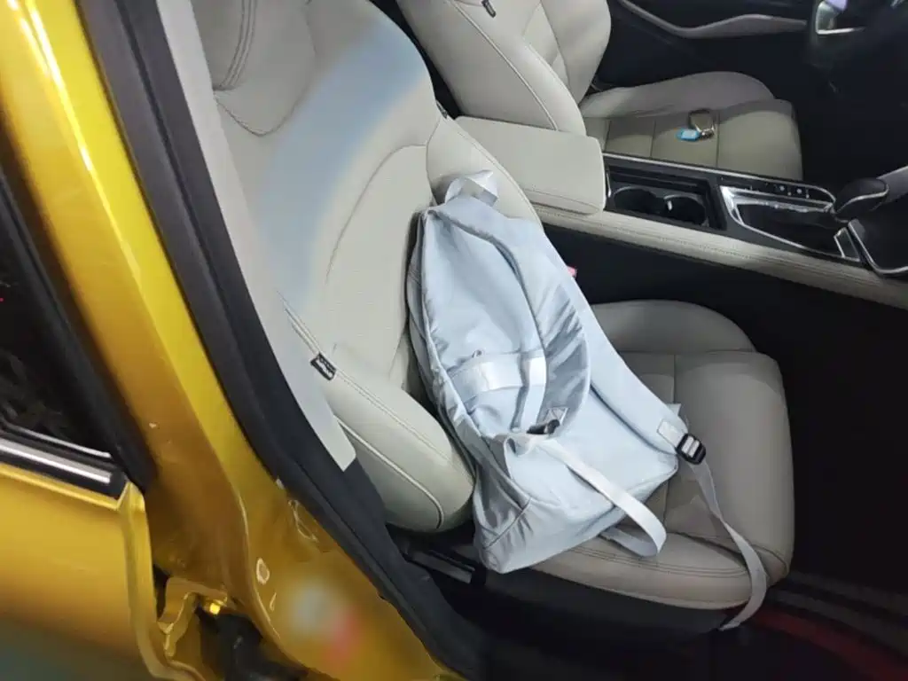 Фото 25 - Geely Binrui