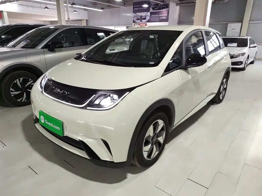 BYD Dolphin 2025 420km Freedom Edition