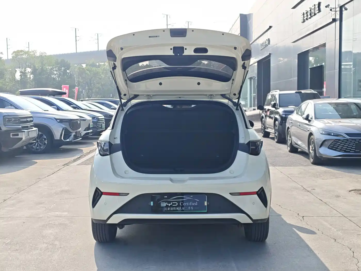 BYD Dolphin 2026 2025 Smart Drive Edition 410km Fashion Version