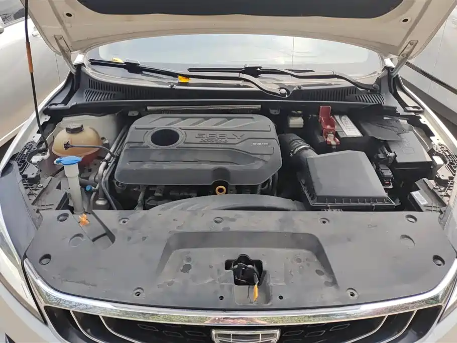 GEELY AUTOMOBILE BINRUI