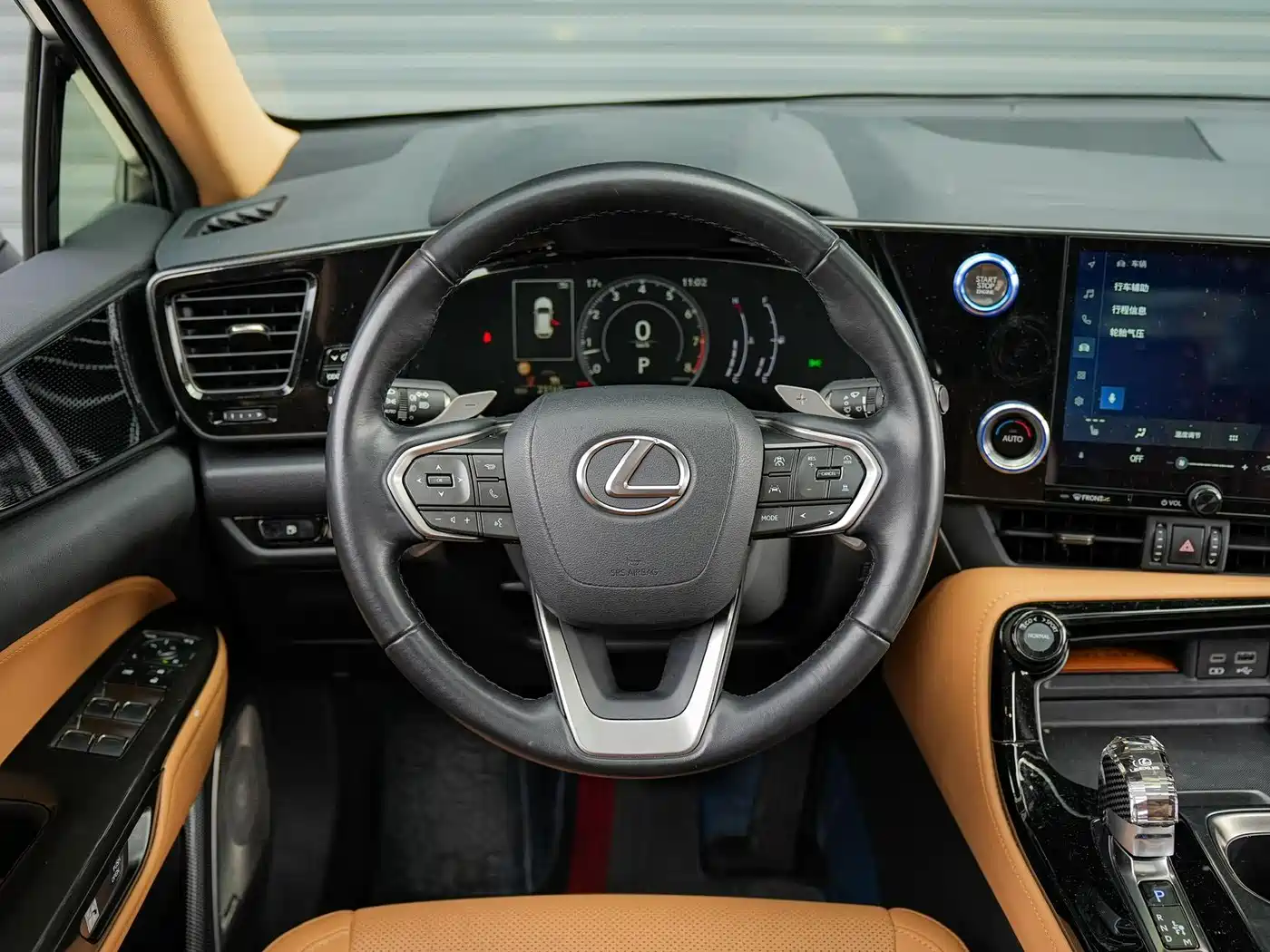LEXUS NX
