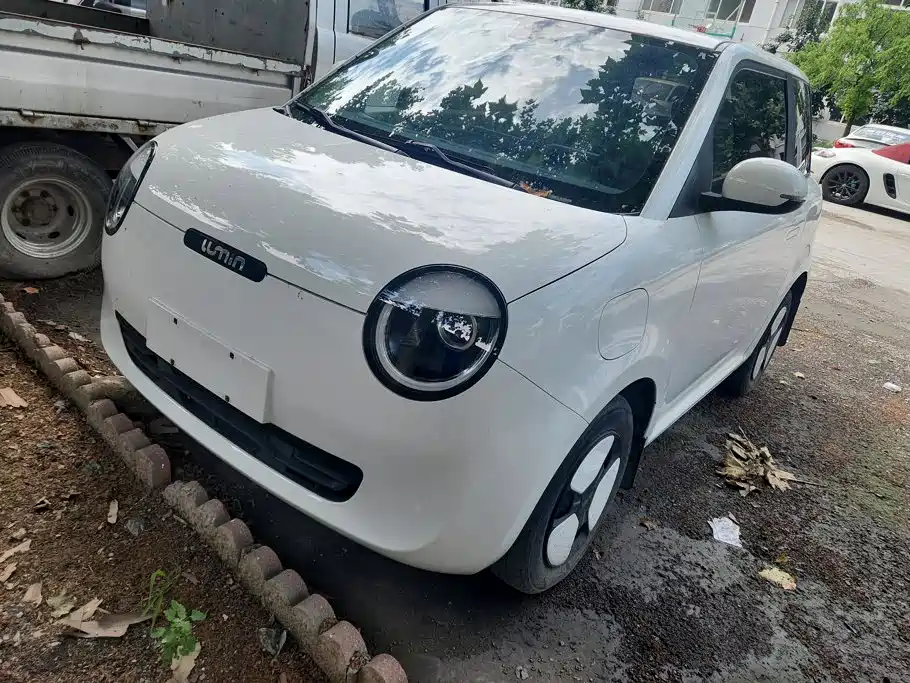 Changan Qiyuan Changan Lumin 2022 155km Fresh Edition