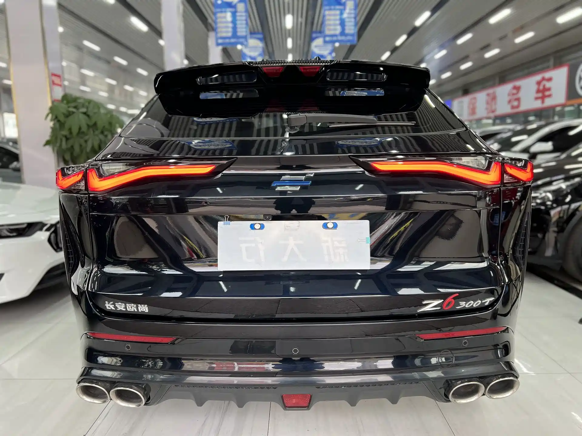 صورة 8 - Changan Oshan Z6