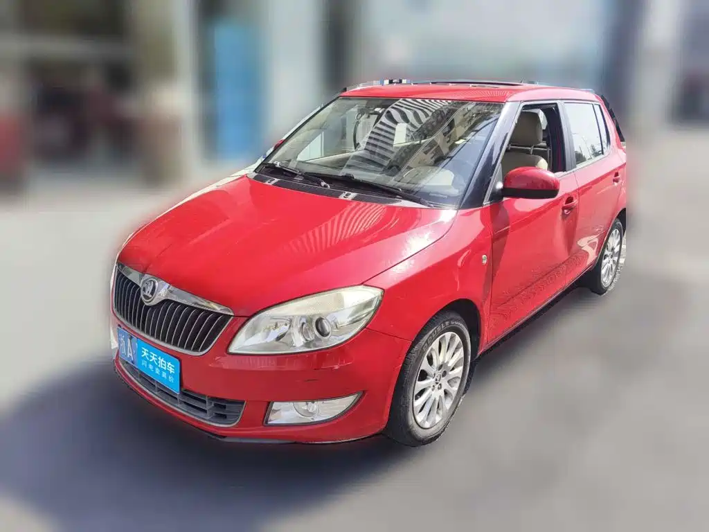 Škoda Fabia 2014 — пригон из Китая