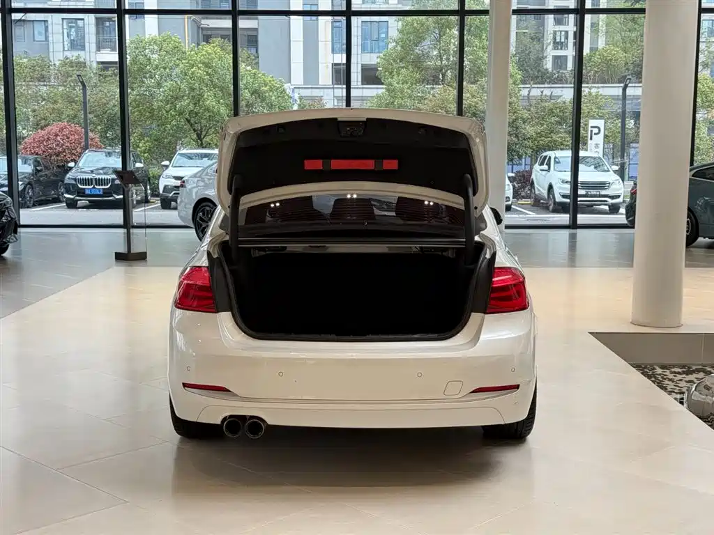 BMW 3 Series 2018 320Li Fashion Style фото 15