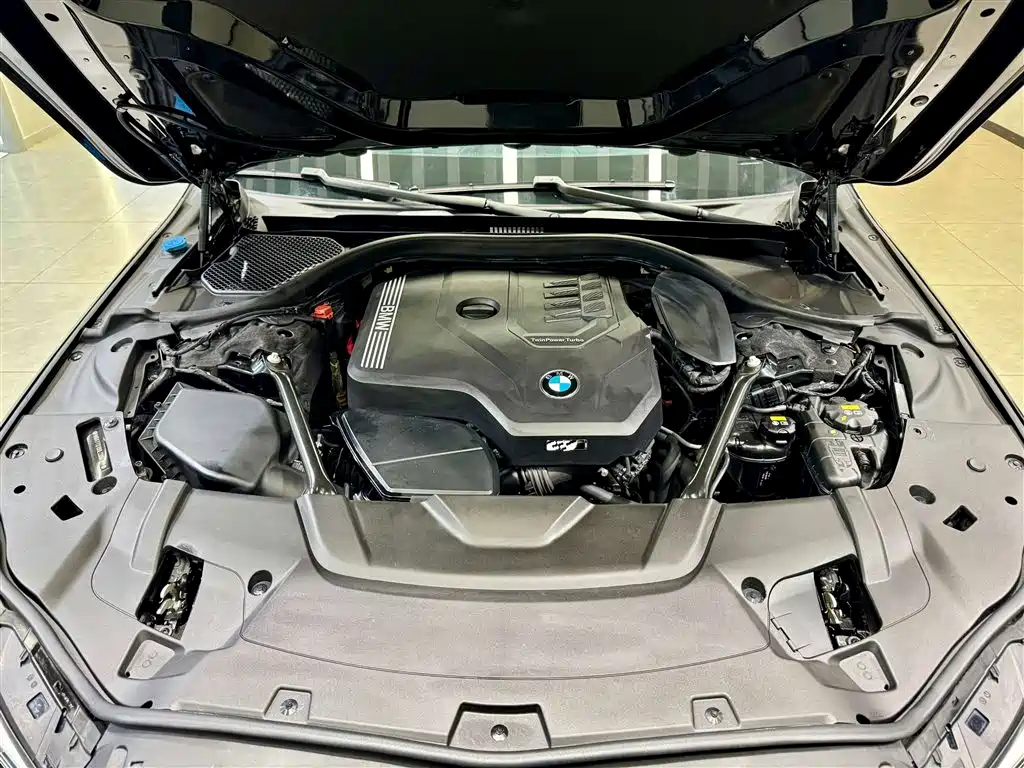 BMW 7 Series 2019 730Li Luxury Package фото 11