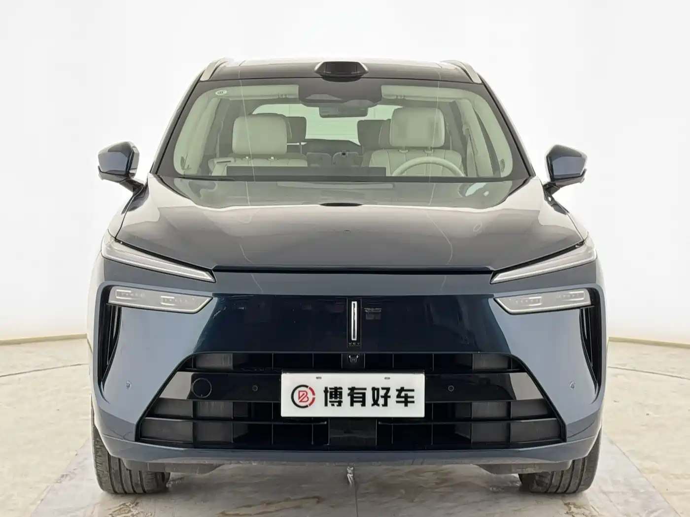 WEI PAI WEI BRAND BLUE MOUNTAIN