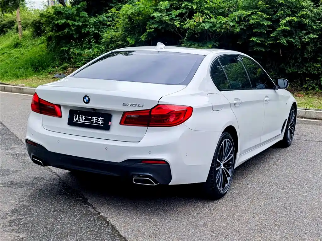 BMW 5 Series 2019 Facelift 530Li Premium M Sport Package фото 7