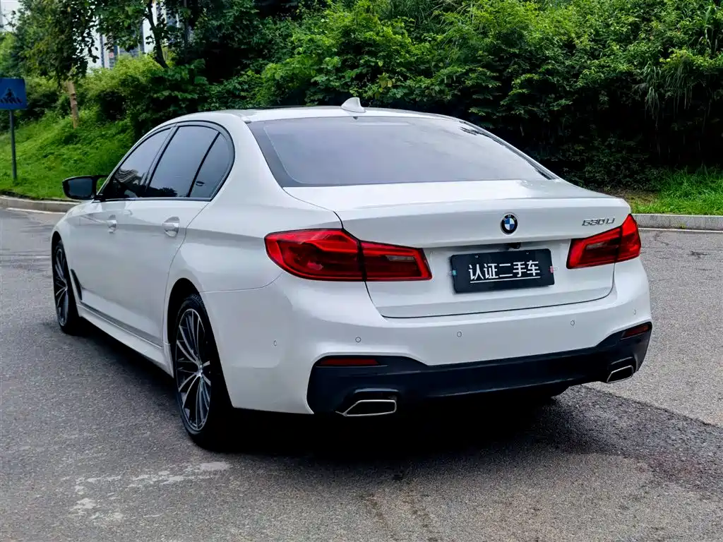 BMW 5 Series 2019 Facelift 530Li Premium M Sport Package фото 5