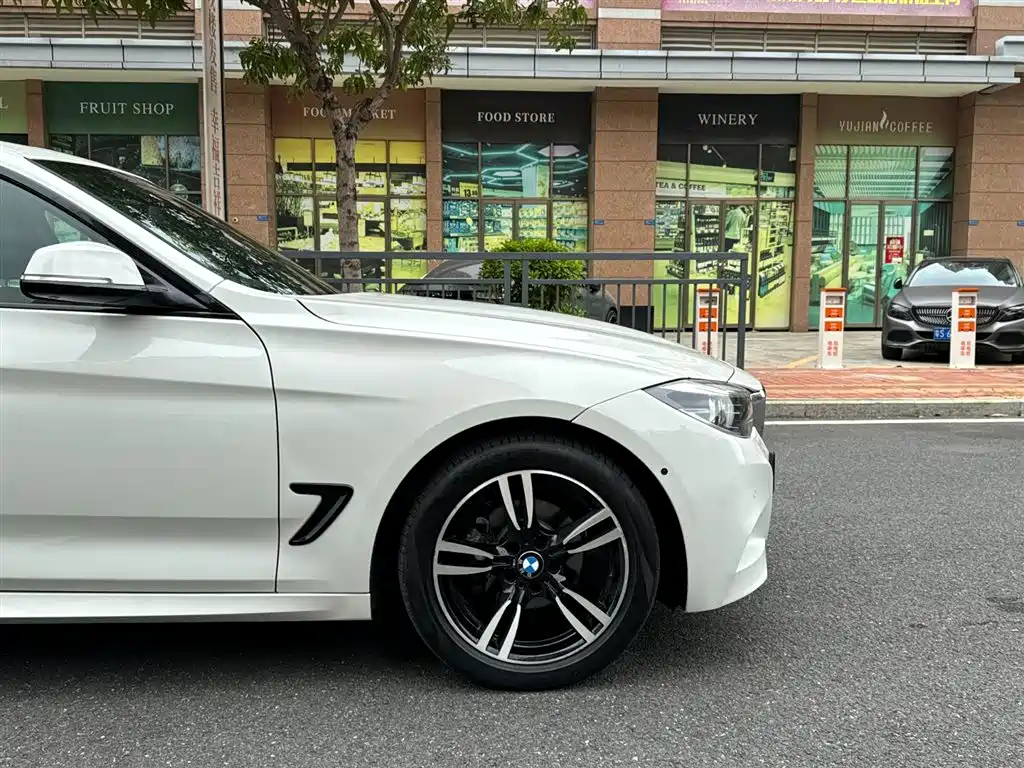 BMW 3 Series GT 2018 320i M Sport фото 6