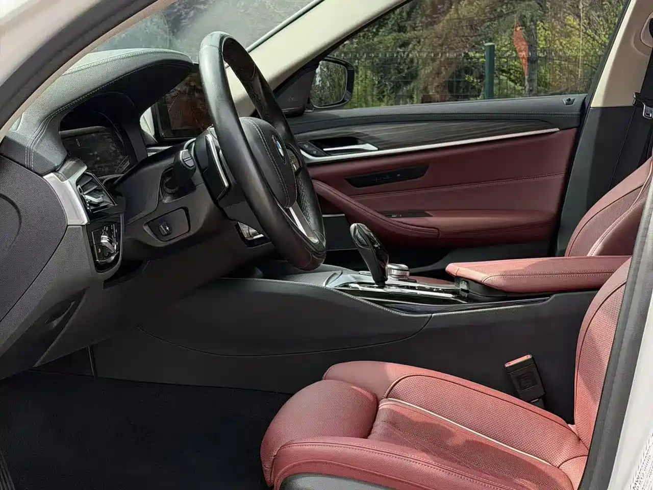 BMW 5 Series 2021 530Li Premium Luxury Package фото 8
