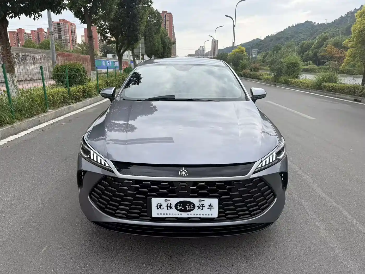 BYD Qin PLUS 2026 2026 DM-i 128KM Progressive