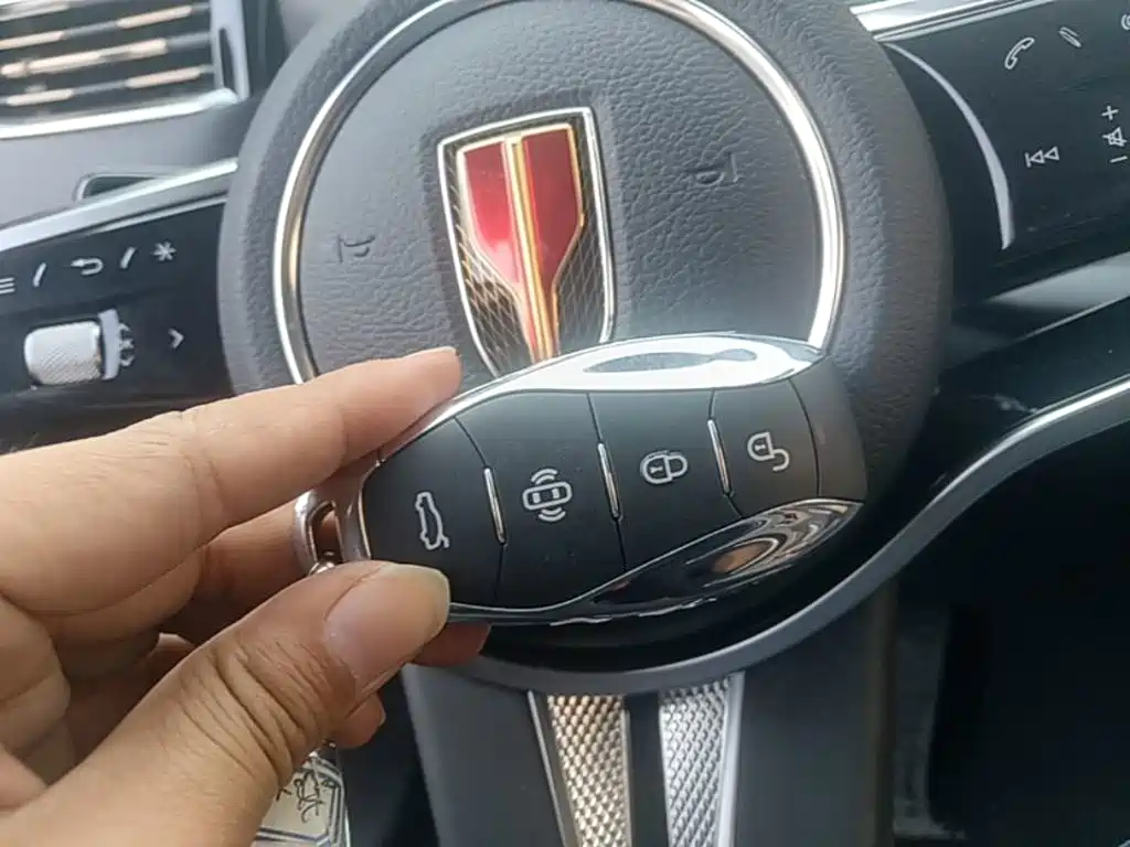 صورة 9 - Hongqi HS7 PHEV