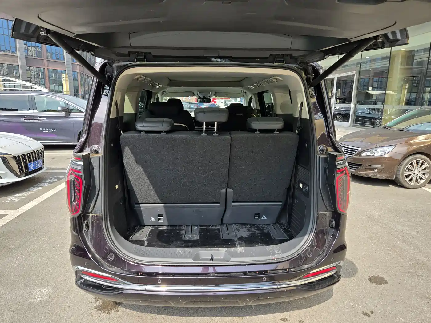 Hongqi HQ9 PHEV 2024 Model 2.0T AWD Luxury Edition фото 14