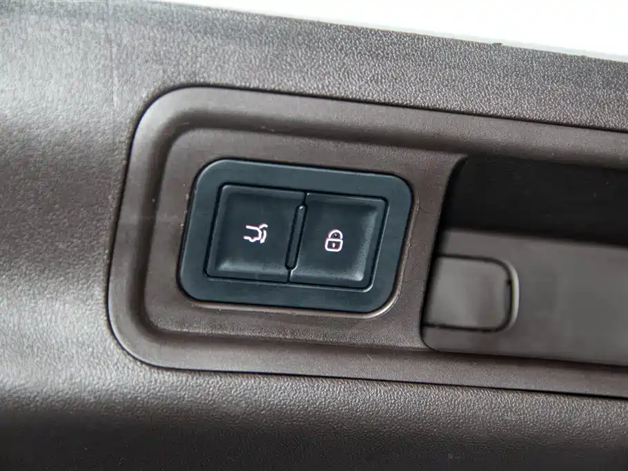 Denza D9 2025 2024 DM-i 1050 Premium