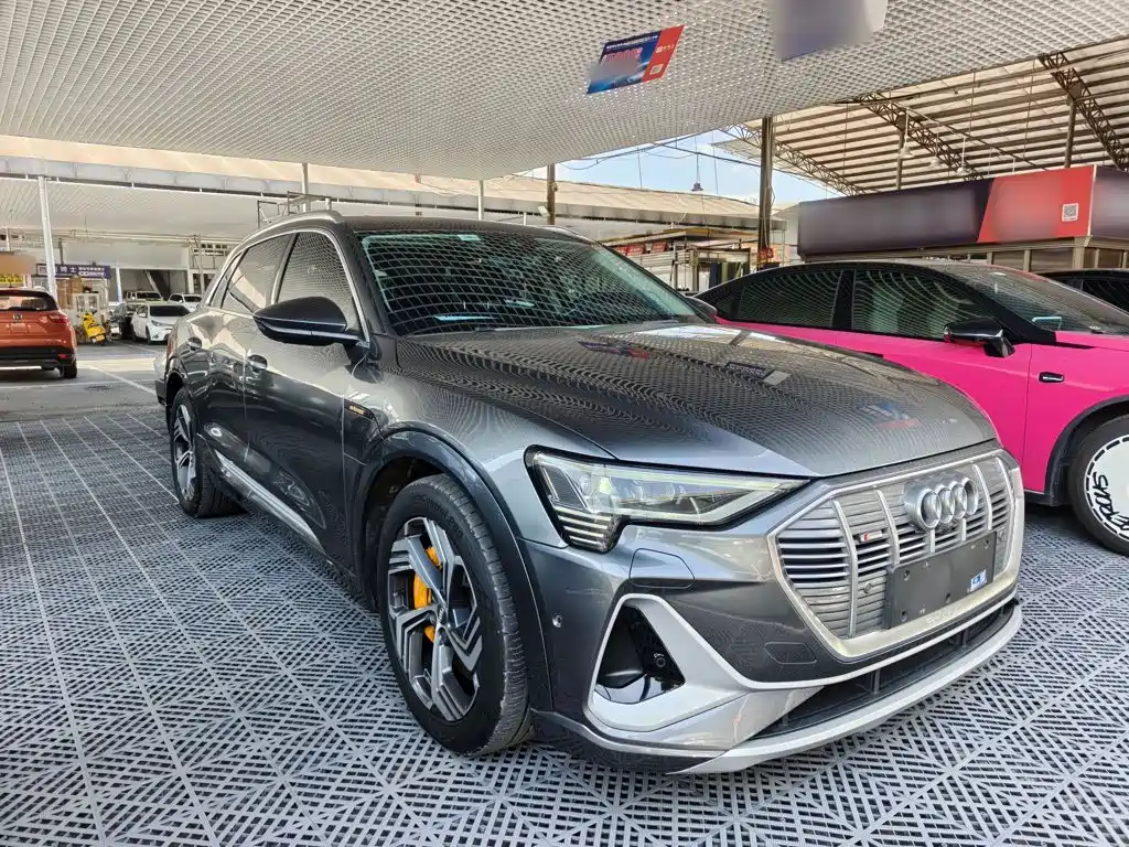 Audi e-tron 2022 2021 50 quattro Exclusive Selection