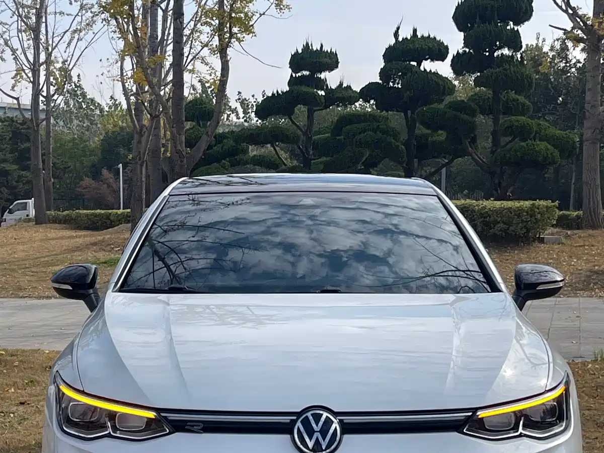 Volkswagen Golf 2021 280TSI DSG R-Line фото 2