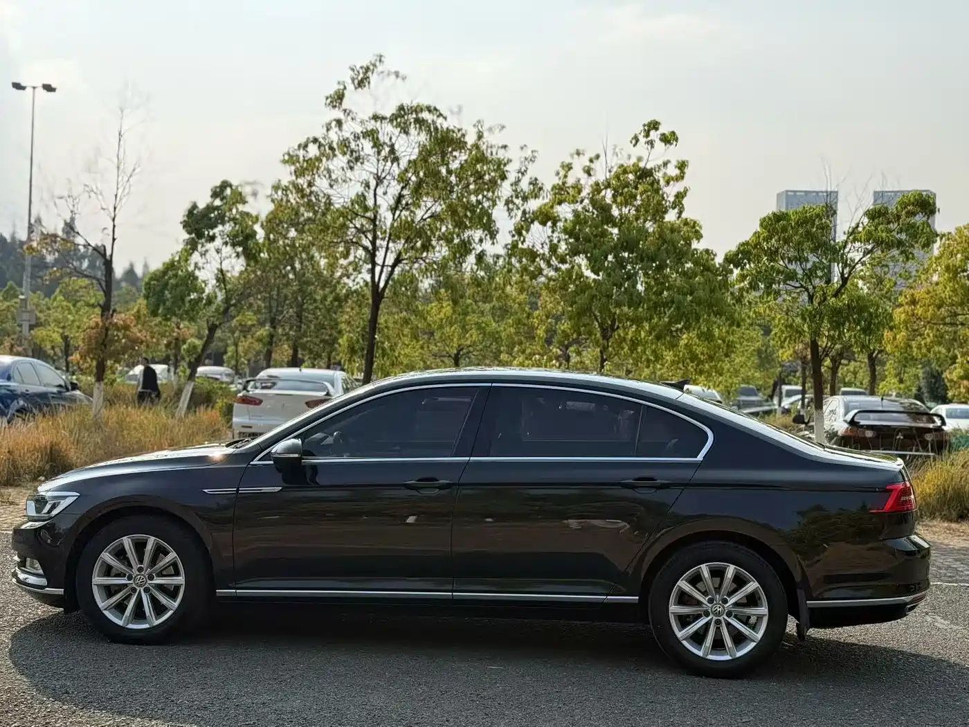Volkswagen Magotan 2019 330TSI DSG Leading China VI фото 5