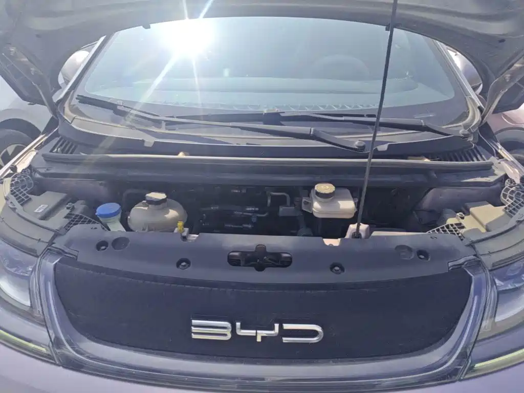 BYD Dolphin 2021 2021 Model 405km Fashion Edition