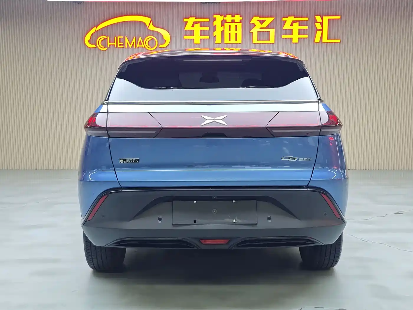 XPeng G3 2020 520 Smart Edition фото 19