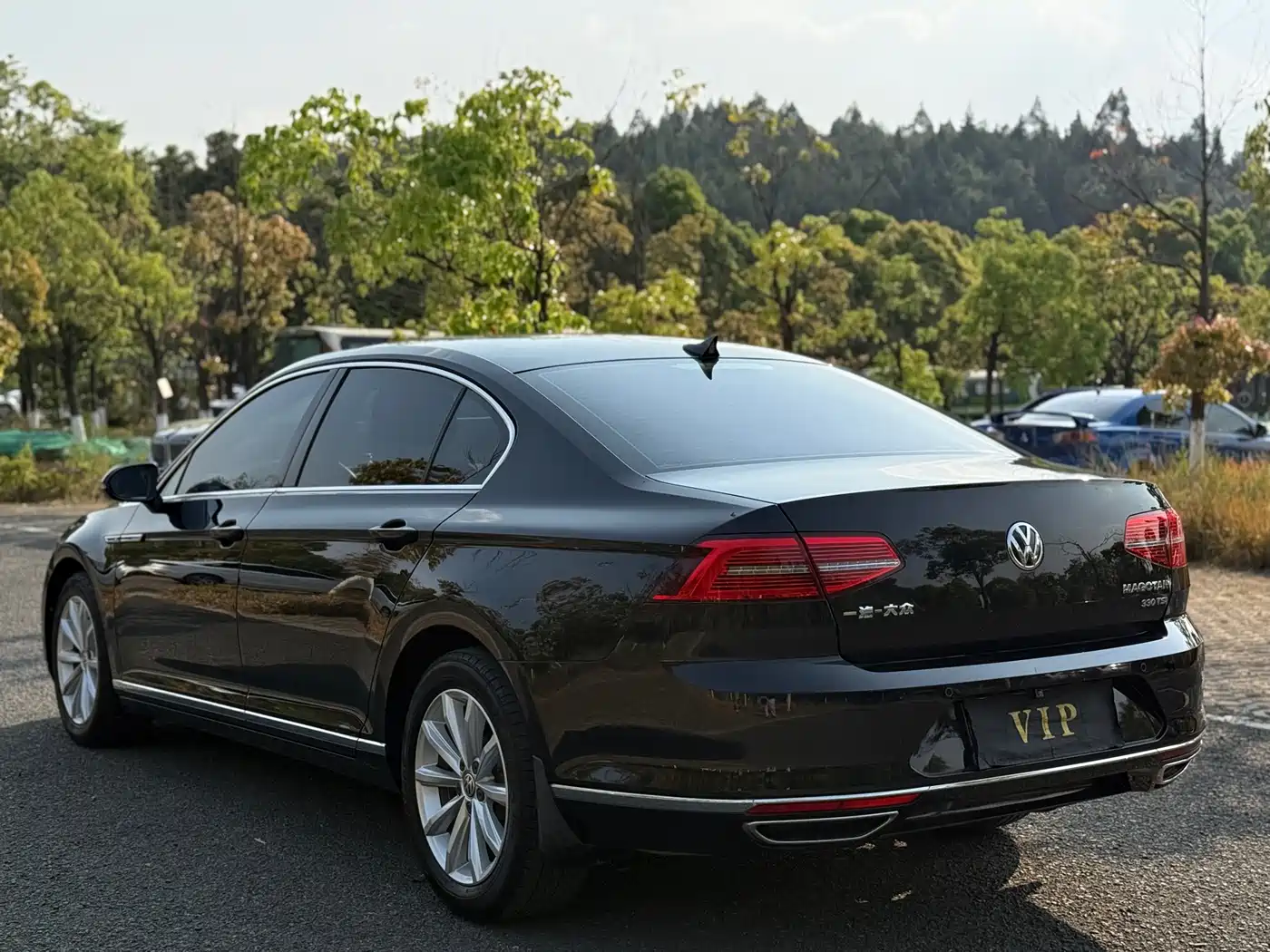 Volkswagen Magotan 2019 330TSI DSG Leading China VI фото 23