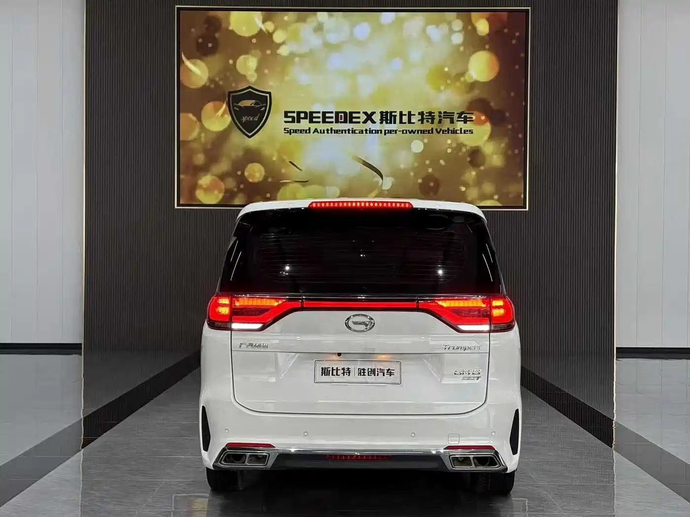 GAC Trumpchi Trumpchi M8 2020 Pilot 390T Luxury Edition фото 9