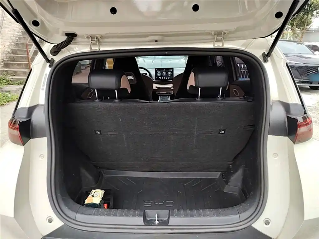 BYD Seagull 2023 Vitality Edition фото 19