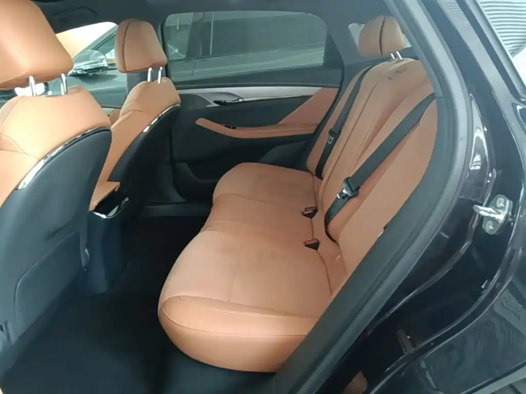 Voyah Auto VOYAH Zhuiguang 2024 PHEV AWD Ultra Long Range Flagship фото 16