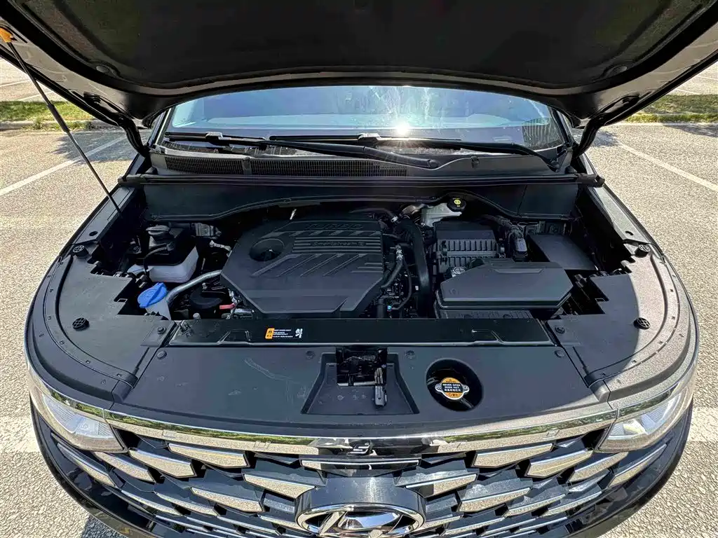 Hyundai Kustu 2025 2024 380TGDi LUX Premium Smart Love Premium Edition