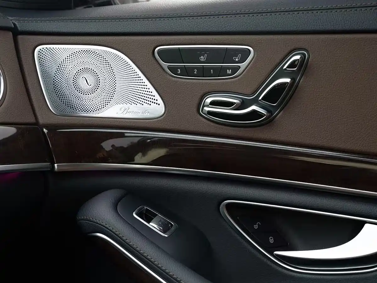 Mercedes-Benz S-Class 2020 S 350 L Premium Edition Collector's Version фото 13
