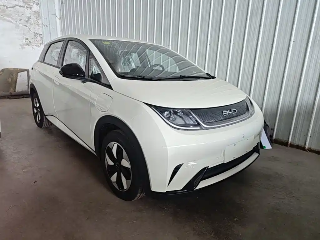 BYD Dolphin 2026 2025 420km Freedom Edition