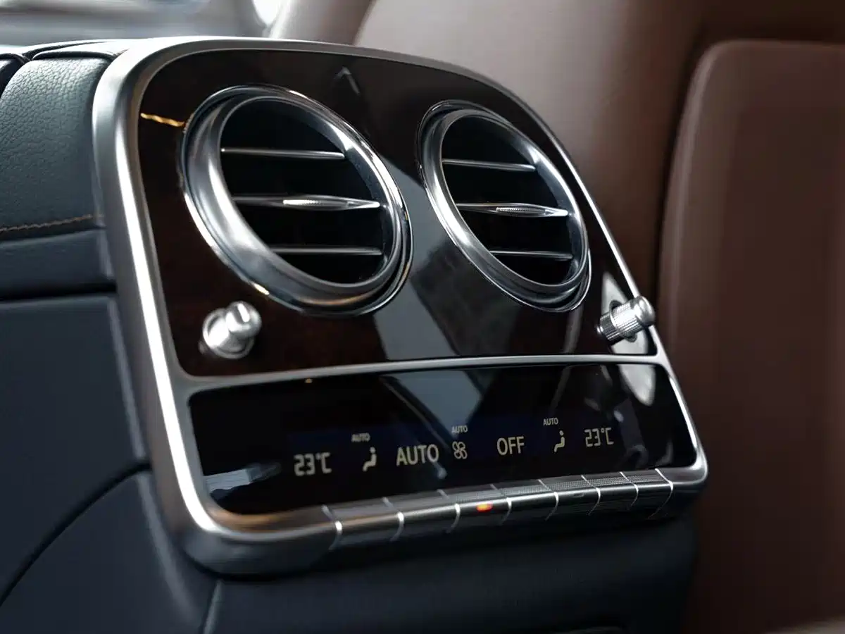 Mercedes-Benz S-Class 2020 S 350 L Premium Edition Collector's Version фото 11