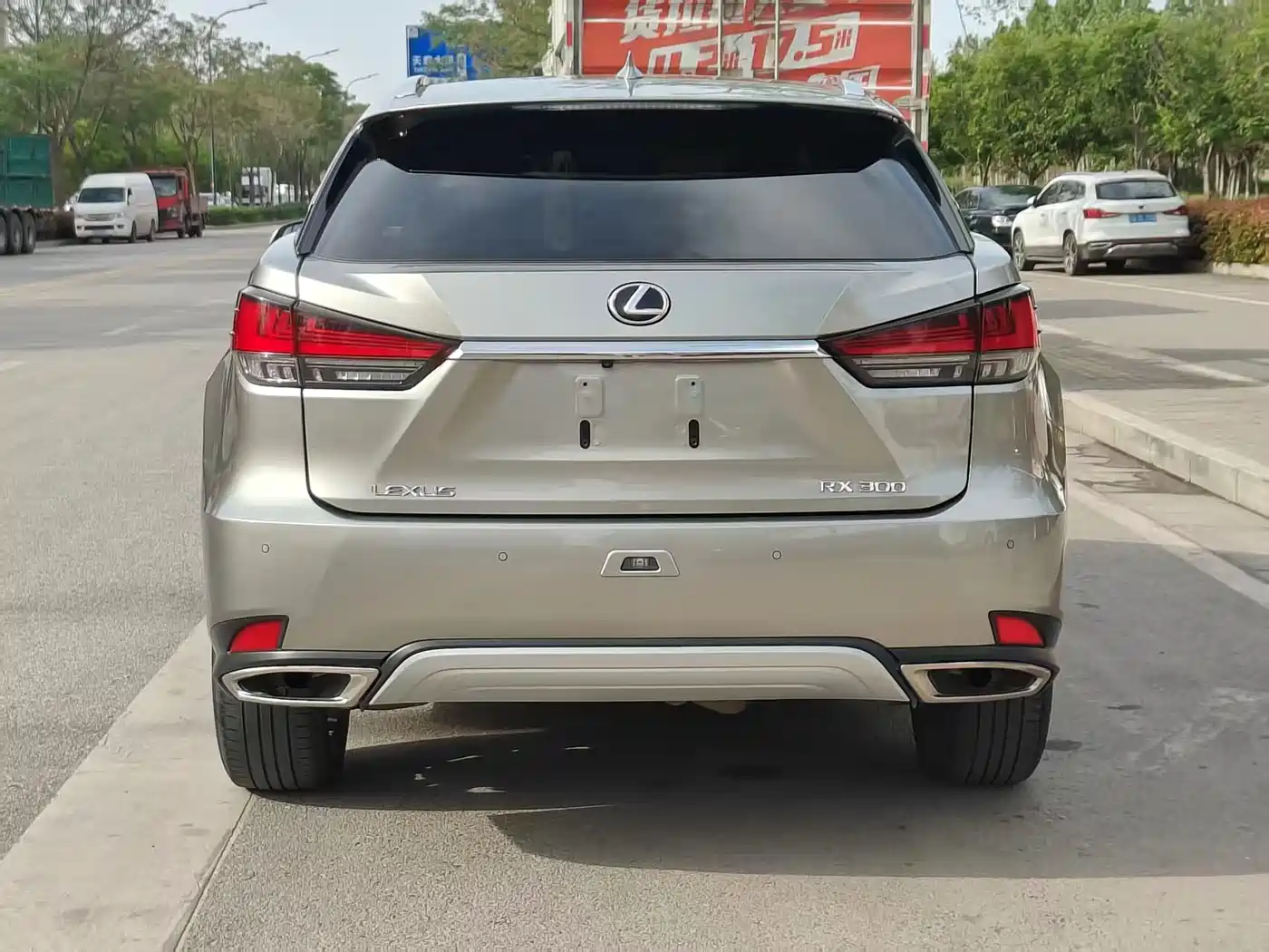 Lexus RX 2020 300 4WD Elegance Edition China VI фото 12