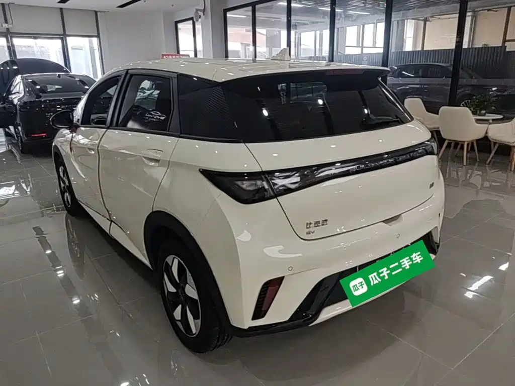 BYD Dolphin 2026 2025 420km Freedom Edition