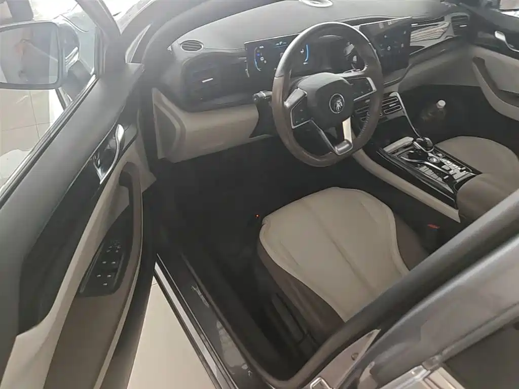 BYD Qin PLUS 2023 Champion Edition DM-i 55KM Leading фото 16