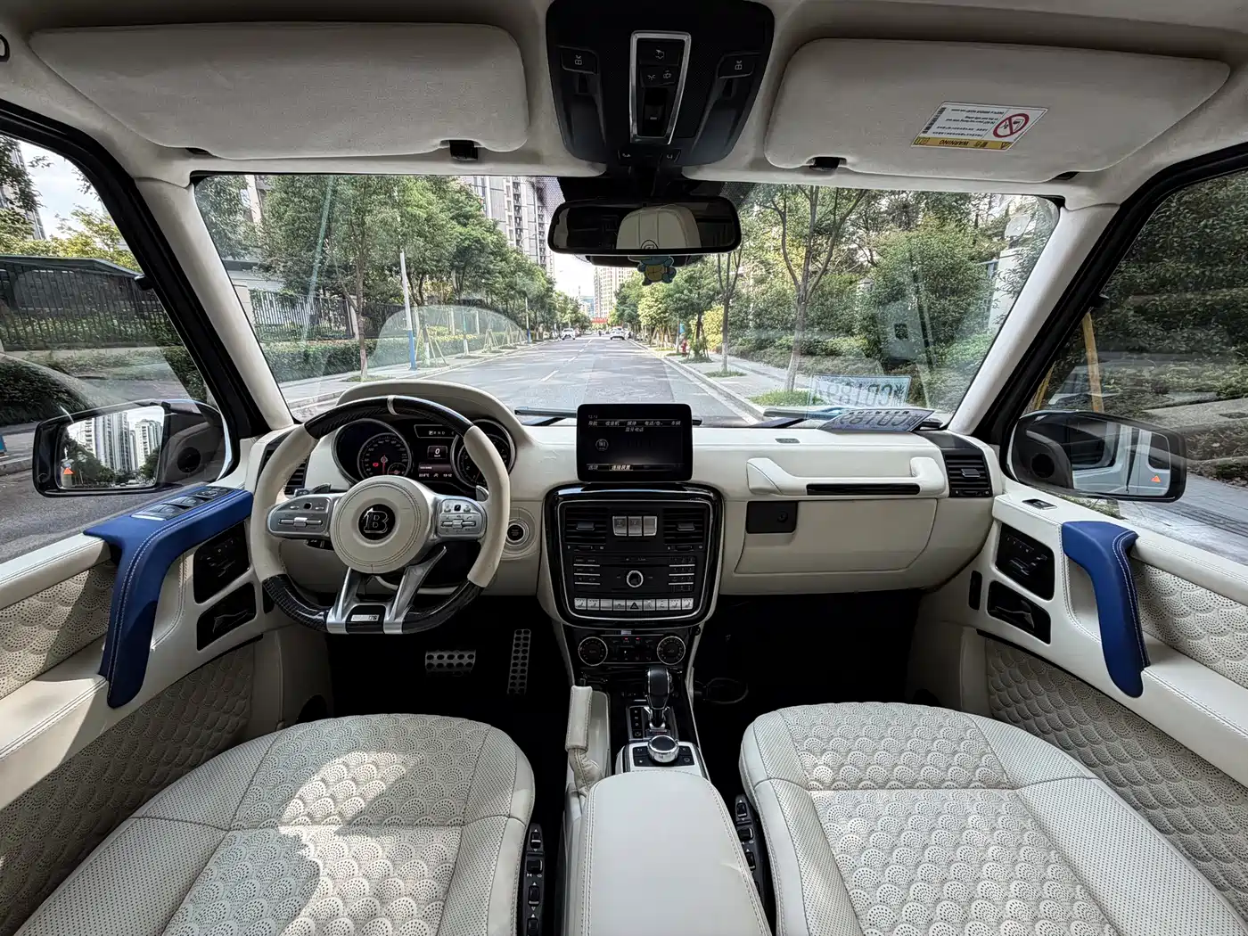 Mercedes-Benz G-Class 2016 G 500 фото 6