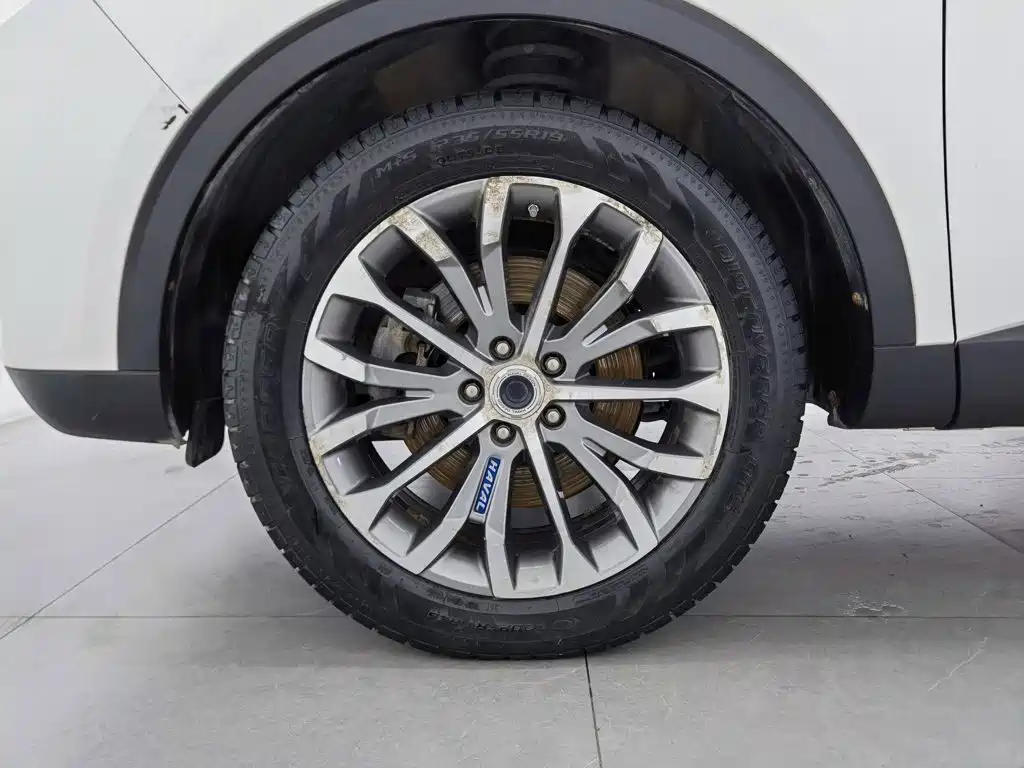 صورة 17 - Haval H6