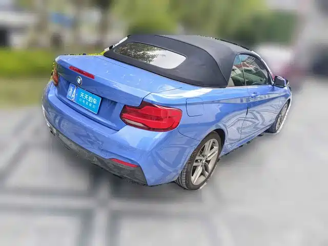 BMW 2 Series (Import) 2018 225i Convertible Coupe M Sport — фото 5