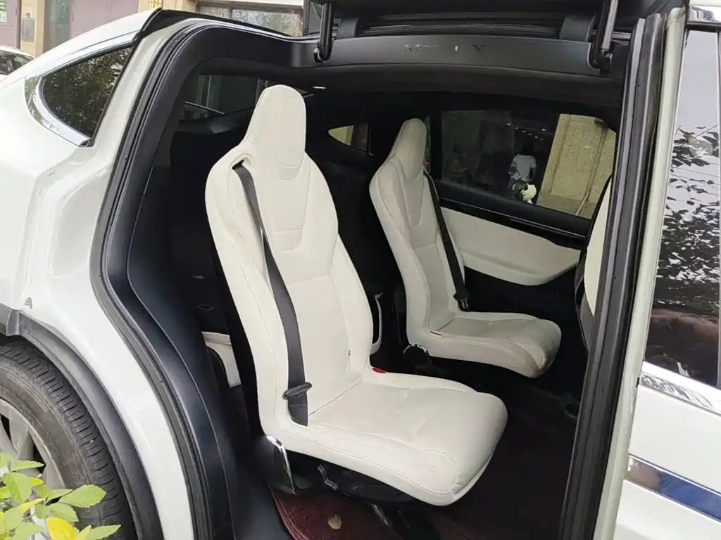 Фото 11 - Tesla Model X