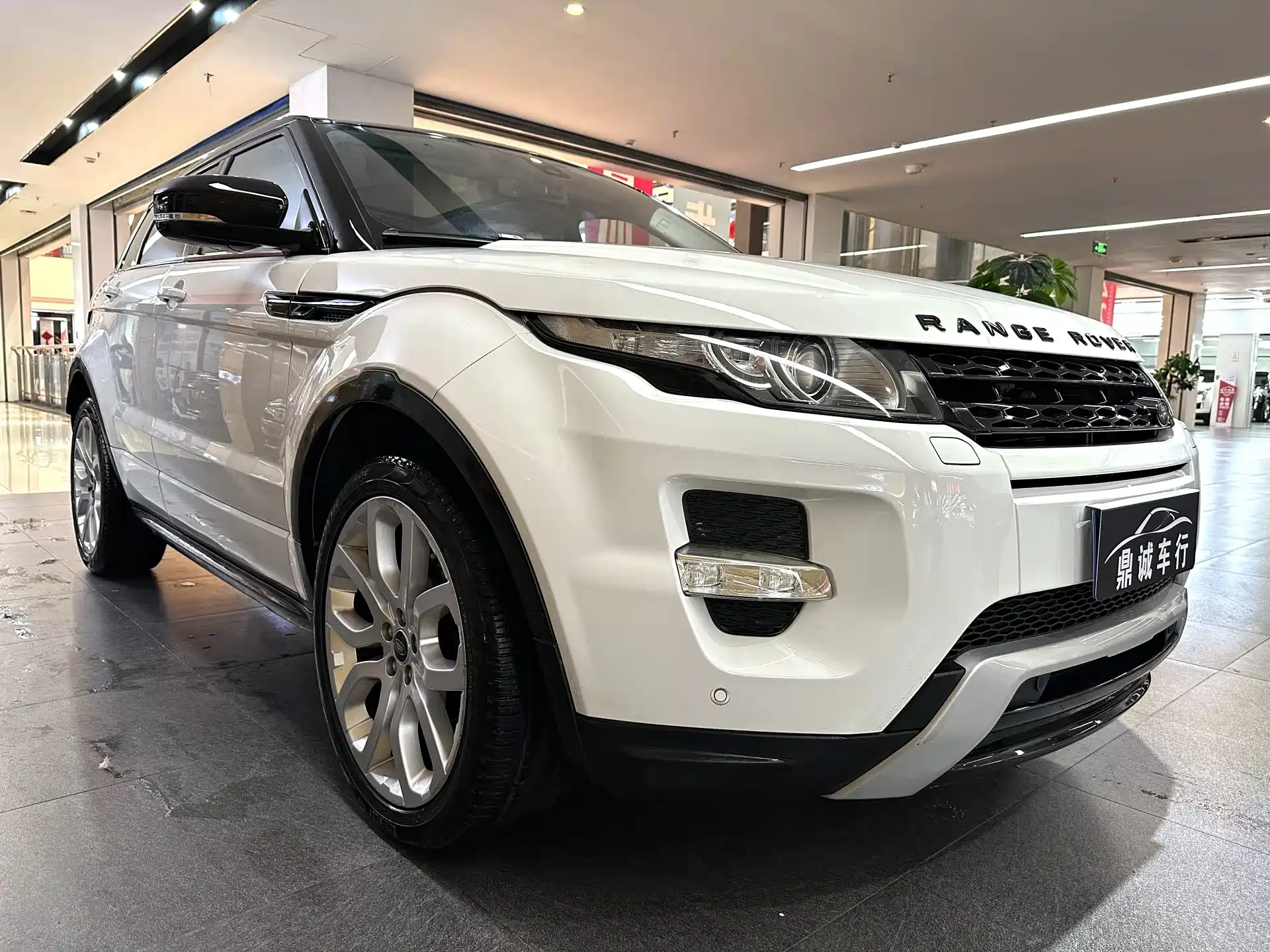 صورة 3 - Land Rover Range Rover Evoque (Import)