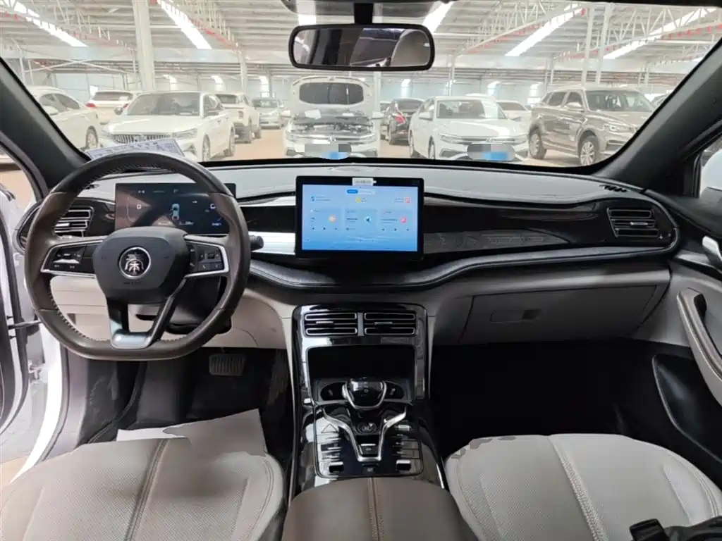 BYD Qin PLUS 2021 DM-i 55KM Premium фото 10