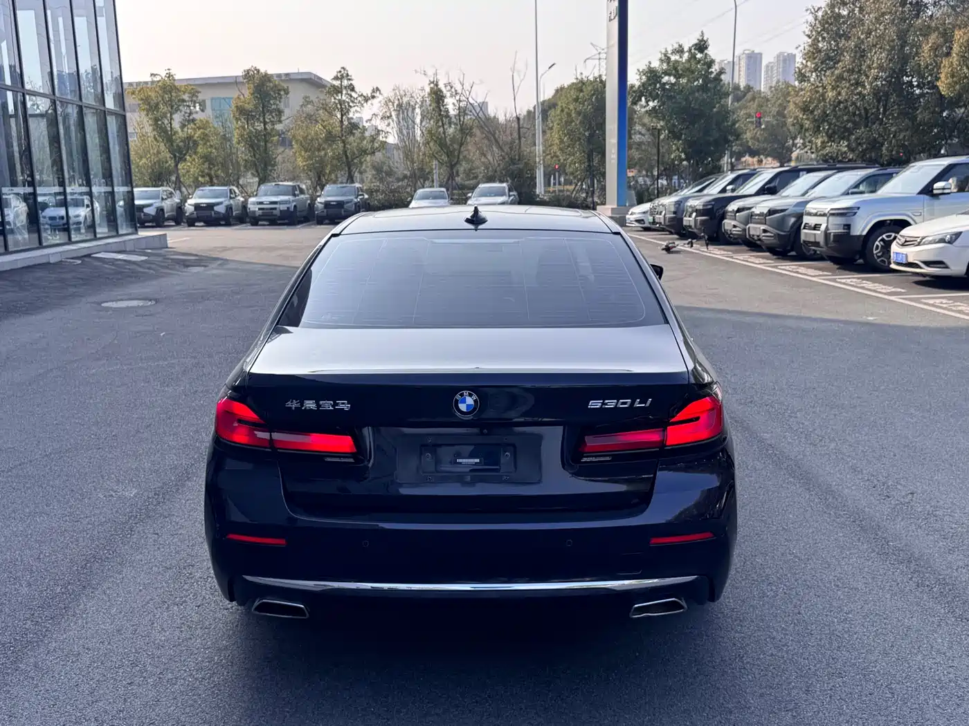 BMW 5 Series 2021 530Li Leading Luxury Package фото 17