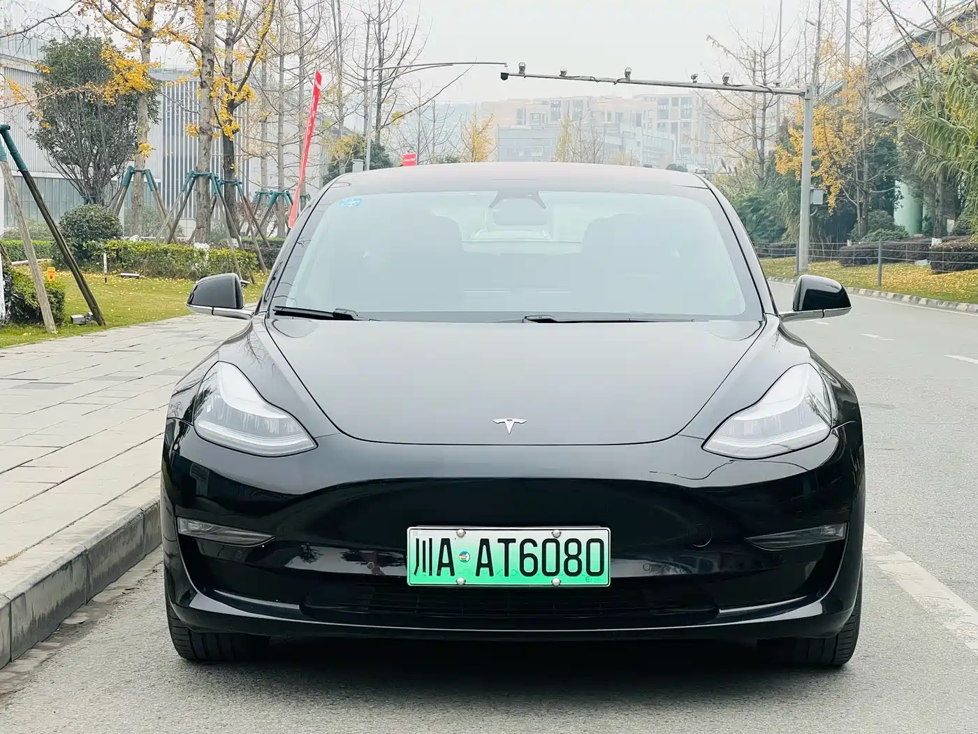 TESLA MODEL 3 (IMPORTED)