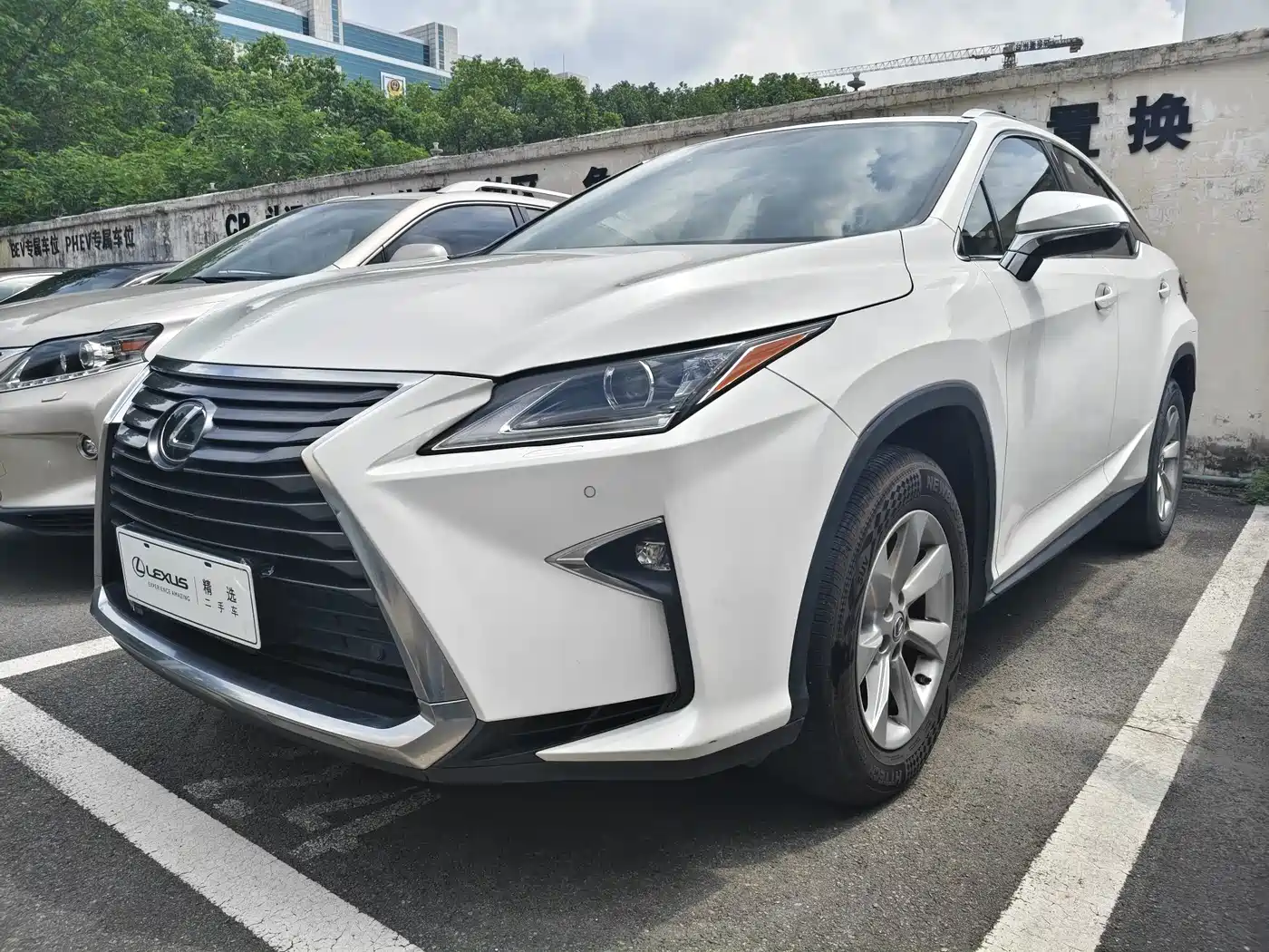 Lexus RX 2016 2016 300 2WD Elite Edition (China V)