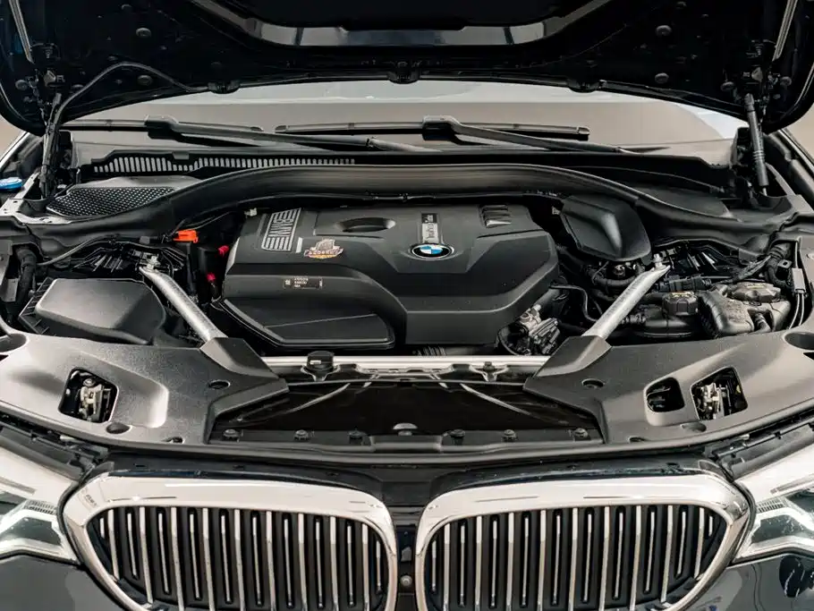 BMW 5 Series 2020 530Li Premium Luxury Package фото 28