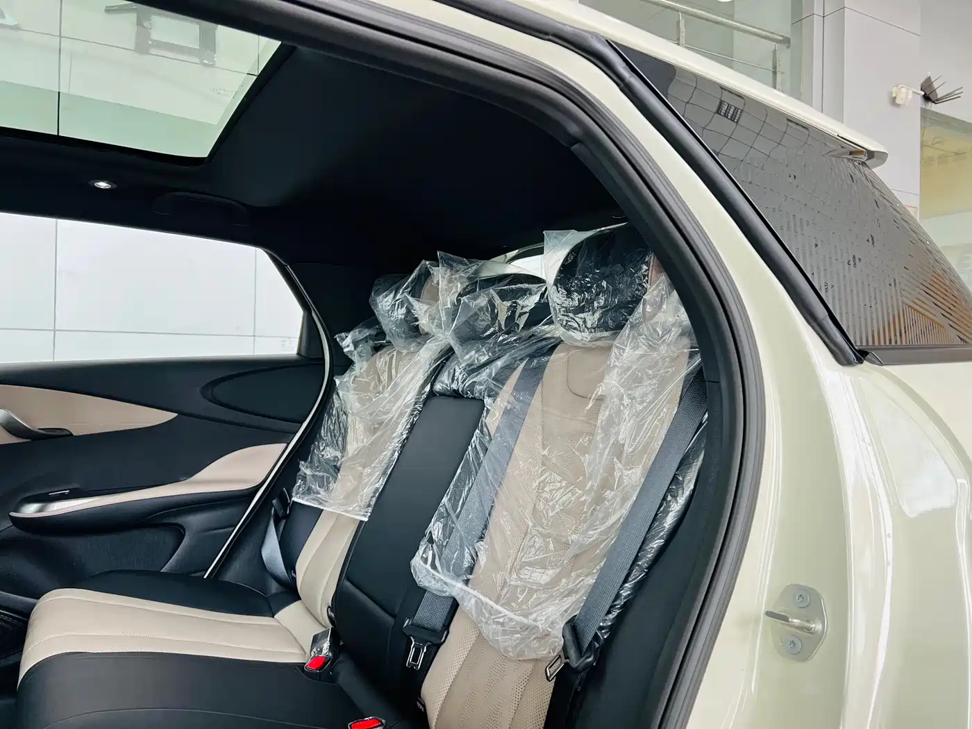 BYD Dolphin 2023 420km Fashion Edition фото 12