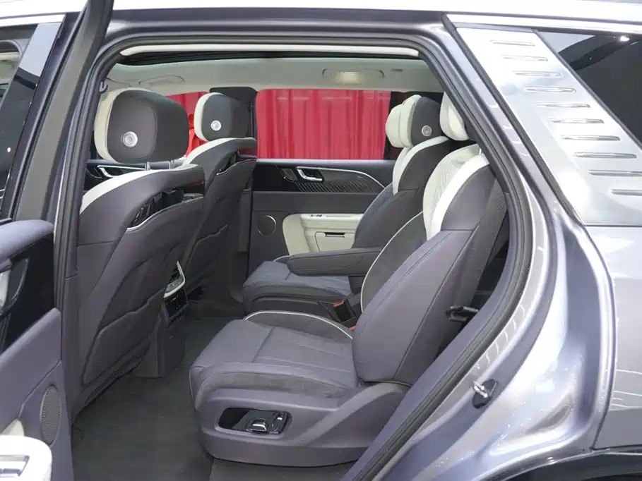 Hongqi E-HS9 2021 460km Flagship Comfort 6-seater фото 15