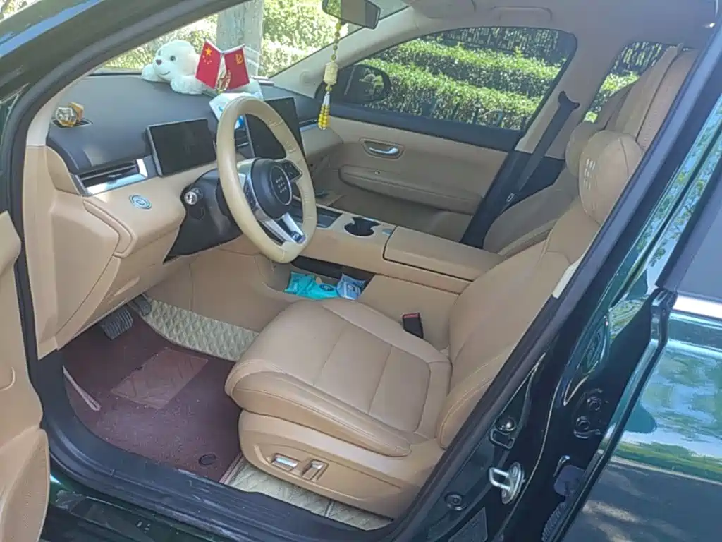Landian E5 PLUS 2024 2025 165km Long Range Pro (5-Seater)