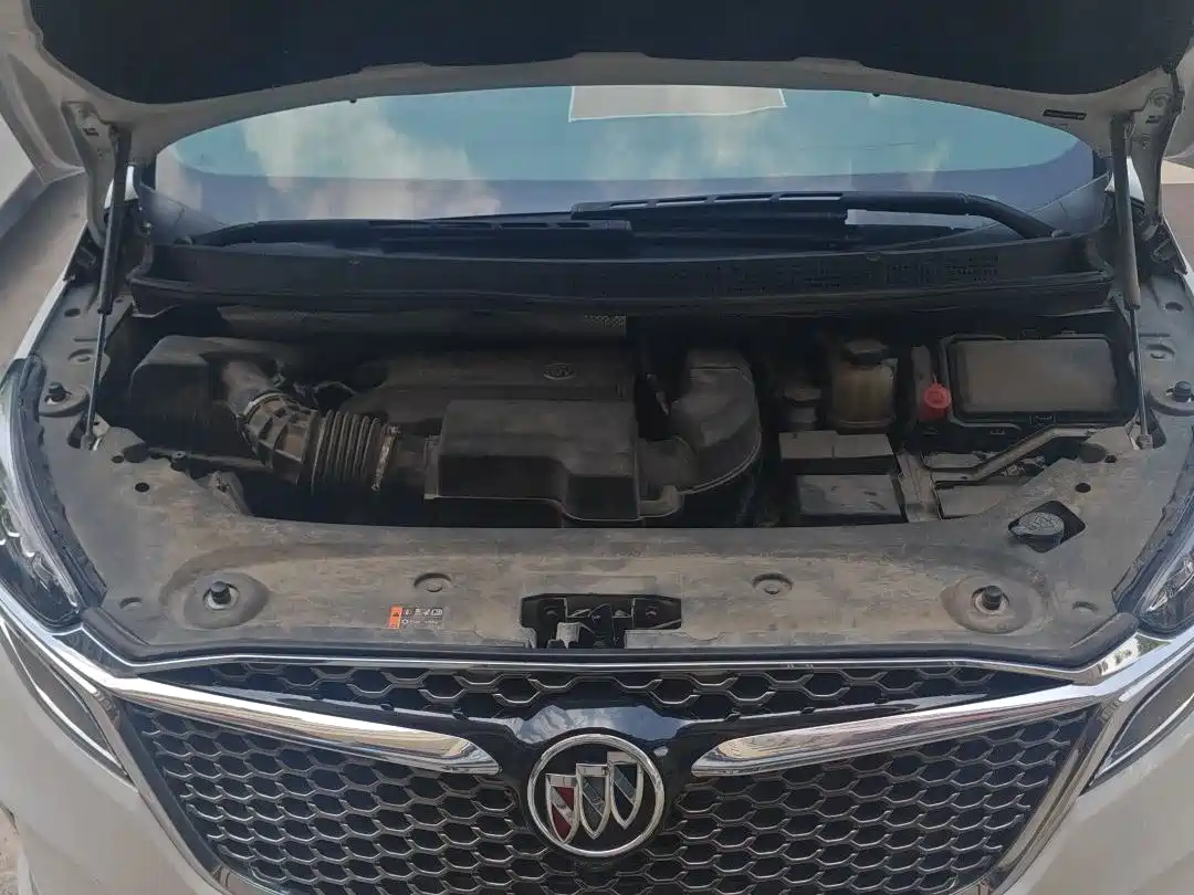 Buick GL8 2021 ES Landlord 653T Luxury фото 13