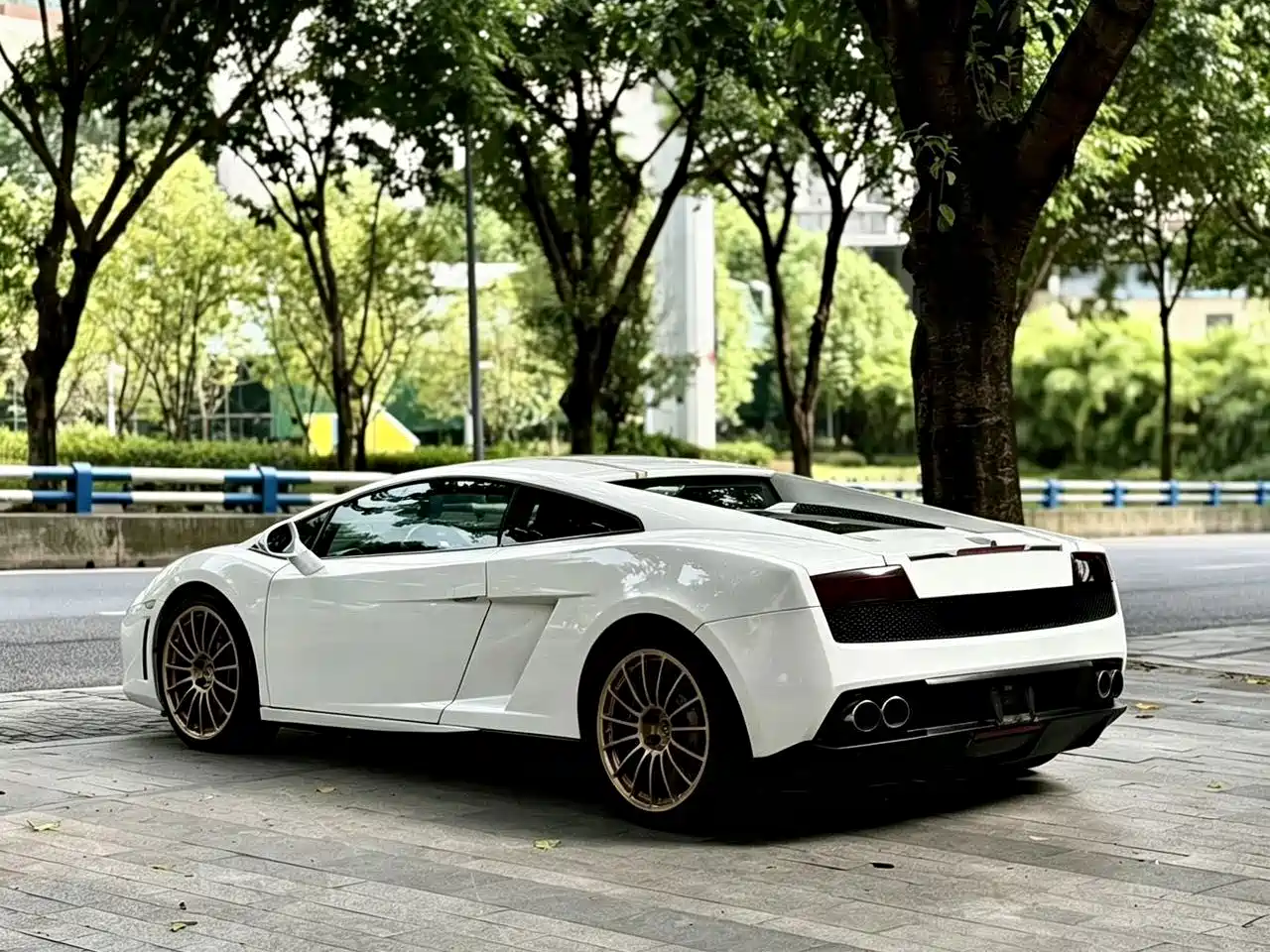 Фото 16 - Lamborghini Gallardo